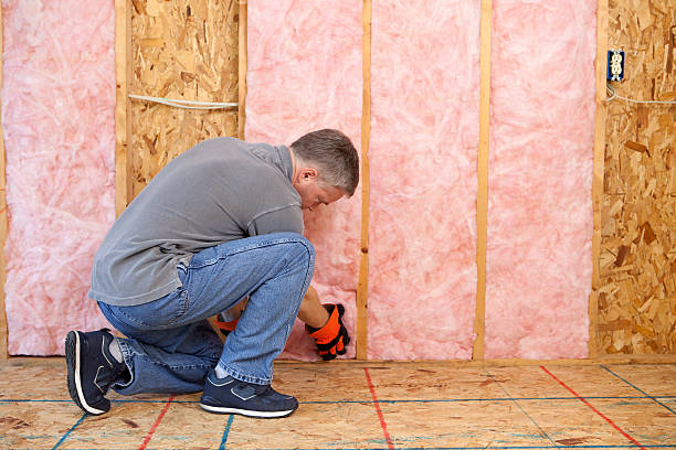 Best Insulation Installation Services in Aberdeen, MD